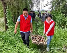 安徽庐江：党建引领藕飘香