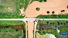 黄河三角洲的绿色变迁——黄河调水调沙期间生态补水见闻