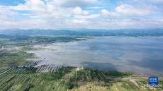 夏日草海景如画