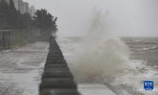 台风“泰利”给海南带来强风雨