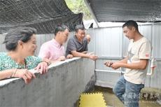 隆回县麻塘山乡尖山村石蛙养殖喜获成功