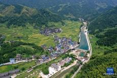 粤桂协作 助力乡村振兴