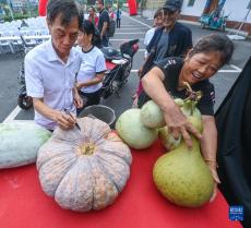 金秋山乡传统习俗迎丰收