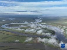 黄河之水天上来 壮美九曲第一湾