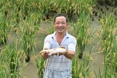 隆回金石桥镇黄金井村脱贫户贺正文生态种养助力产业振兴