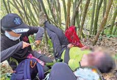 台登山团遭虎头蜂攻击 2死9伤