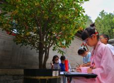 北京：颐和园中秋桂花飘香