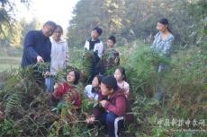 隆回高洲中学开展户外植物认知体验活动