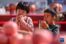 山东沂源：苹果节助民增收