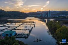 浙江建德：特色种养殖产业助力文旅消费新活力