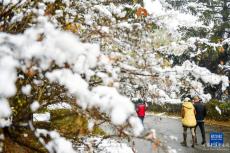 吉林长春迎初雪