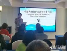 从参与大鲵保护行动计划谈到环保工作者