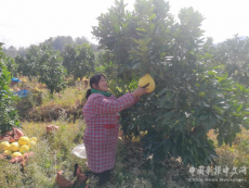 洞口县高沙镇文联：为患病企业家献爱心助力乡村振兴