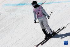 国际雪联单板及自由式滑雪大跳台世界杯赛况