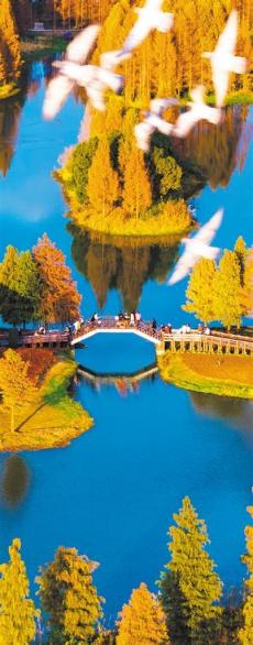 大美中国】五彩初冬