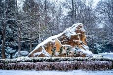 组图：高校雪景“大赏”，快来看看你的大学有多美！