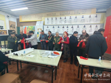 纪念延安双拥运动80周年书画展在京启动