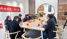 倮倮诗集《世界看见我》研讨会在衡南县成功举办