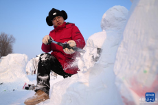 哈尔滨太阳岛雪博会：雪雕高手精彩“过招”