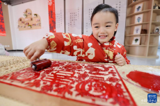 喜迎新春