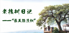 “中国好人”唐世国：老槐树日记里的“最美摆渡叔”