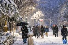河南部分地区迎来降雪