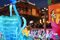 2024上海豫园民俗艺术灯会亮灯