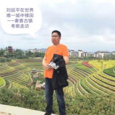 中国新报中文网《六大河》栏目……