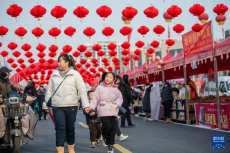 华中超级“菜篮子”保障年货供应