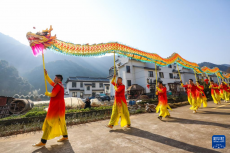 乡村百家宴 热闹迎新春