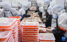 探访“荆楚味”高铁“后厨”