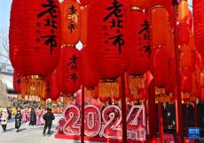 欢乐祥和迎新年