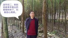 六大河•特写⑩ | 一林香樟树，两代父子情