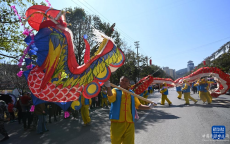 贵州黄平：龙腾苗乡闹新春