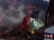贵州221起森林火情目前已全部扑灭