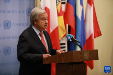 联合国秘书长呼吁加沙和苏丹斋月停火