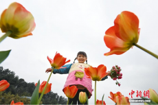 第十六届湖南世界名花生态文化节开幕 游人踏春赏花