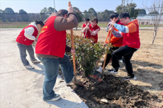 安徽理工大学医学院大学生志愿者积极投身植树活动