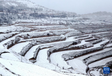 甘肃部分地区出现降雪