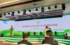 2024第四届“品茗怀祖”暨塔山茶品牌推介会在常宁市举行