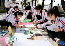 春日园游会 多彩展才艺