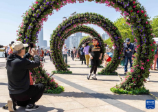 2024上海（国际）花展开幕