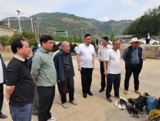 让文物保护活起来丨吴学香老专员前往七星关区调研