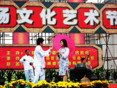 清代情歌“燕花歌”复活记