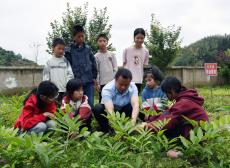 金石桥镇中银小学：弘扬中医药文化, 普及中草药知识