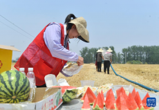 直击多地高温天气 这些关怀沁人心