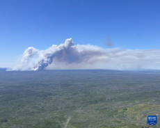 加拿大西部地区高温干旱野火蔓延