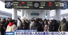 2025春运以来全社会跨区域人员流动量预计超30亿人次