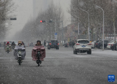 河北石家庄出现降雪天气
