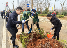 第47个植树节｜衡阳市珠晖区：干群齐参与 绿树住“新家”